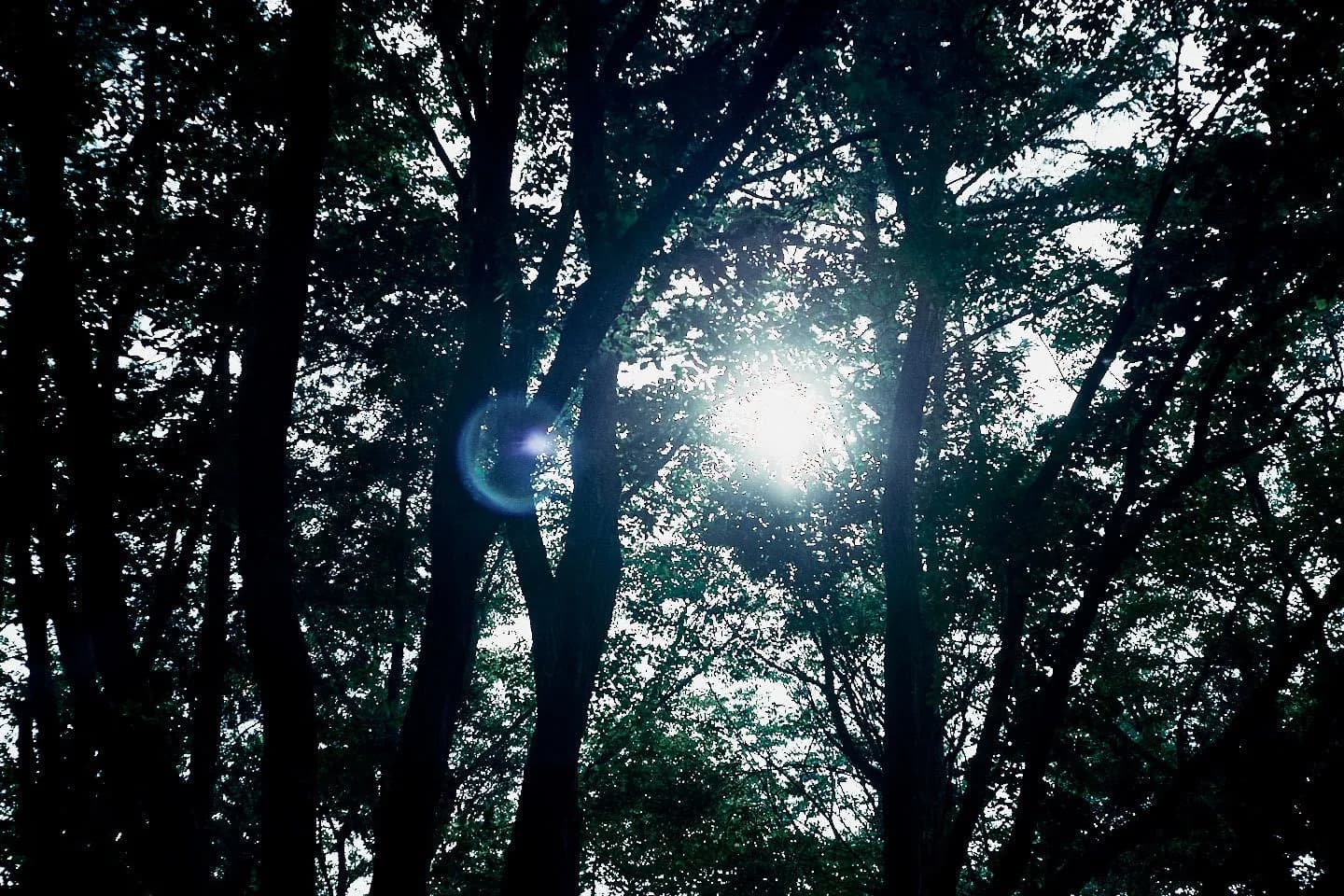 asano-farm-image-2